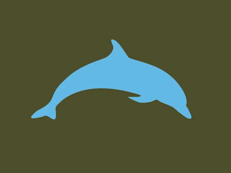 Dolphin Group